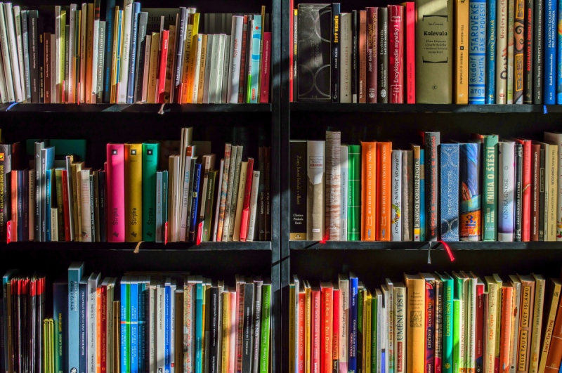 vente-CIPIERES-min_books_bookstore_book_reading_shop_writer_sale_books_read-822866